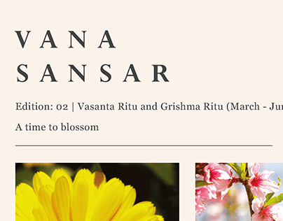 Edition 02: A Newsletter Connecting Vana And The World