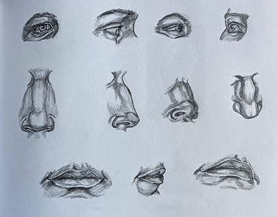 Figure and Anatomy Sketches