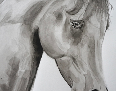 Horse, portrait, aquarel, grey