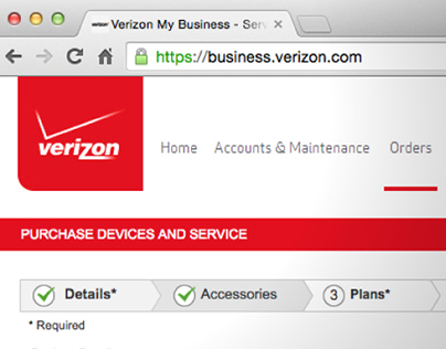 Verizon Enterprise Services