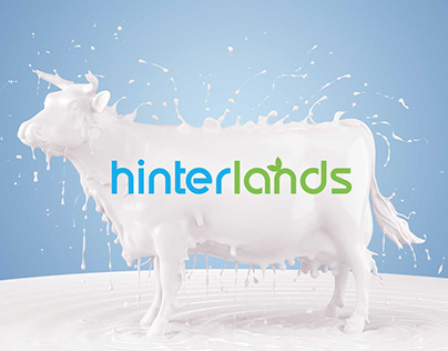 Hinterlands Logo Design | Logo Design Service in India