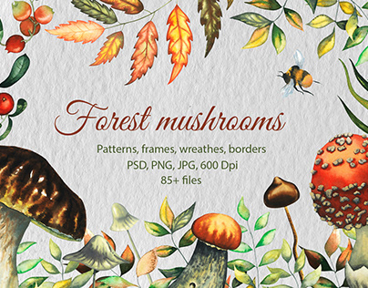 Project thumbnail - Forest mushrooms watercolour clipart