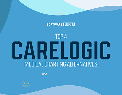 Top 4 Carelogic Medical Charting Alternatives