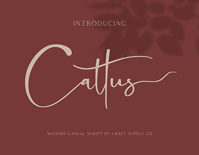 Cattus - Modern Casual Script Font (Free Download)