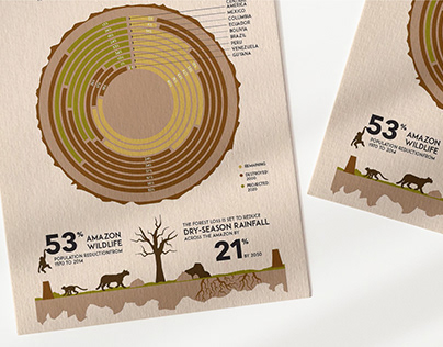 Deforestation Statistical Chart - Information Design