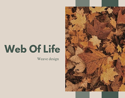 Web of life | Basic Weave Design
