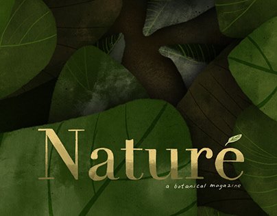 Cover Illustration for Nature Magazine