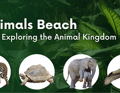 Animals Beach | A Gateway To Fascinating Wildlife