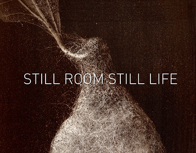 Still Room Still Life