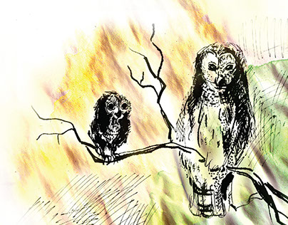 Иллюстрация и верстка книги "легенды ночных стражей"