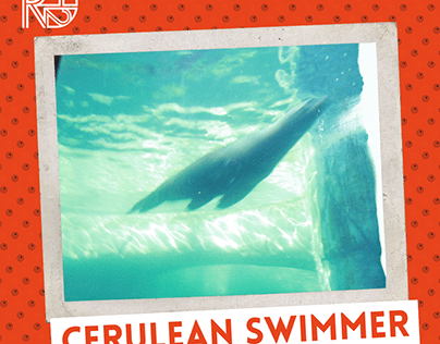 Cerulean Swimmer