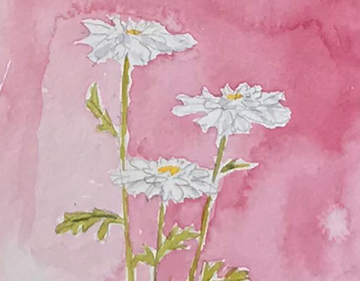 Innocent Daisy (watercolor)