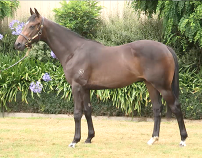 Reliable Man / Censibelle $55,000 Purchase