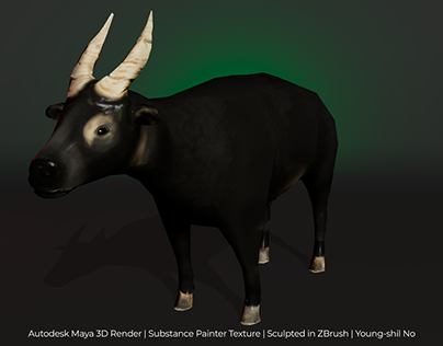 Tamaraw - Mindoro Dwarf Buffalo 3D Model