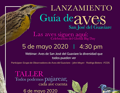 Diseño de Gif sobre aves del Guaviare