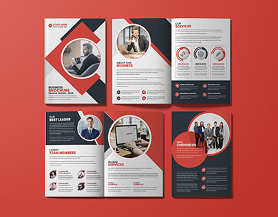 Business Brochure Design or Company Profile