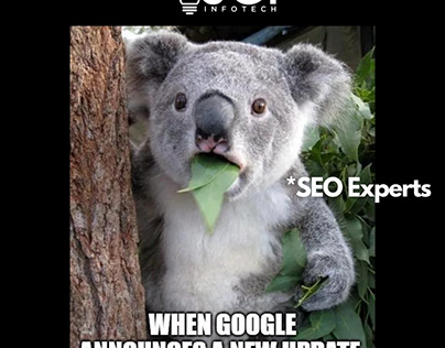 Google updates and SEO goes hand-in-hand.