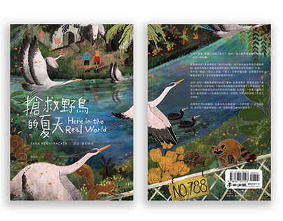 《 搶救野鳥的夏天 》封面美術插畫