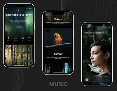 Ambient Sound and Music Application