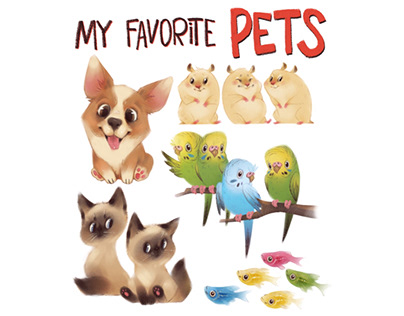 Design of cute pets for children's educational cards