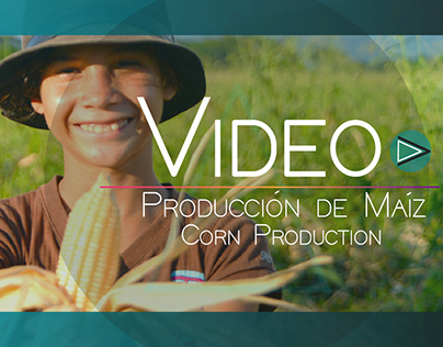 VÍDEO / PRODUCCIÓN DE MAÍZ / CORN PRODUCTION