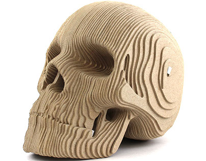 Картонный череп человека / CARDBOARD HUMAN SKULL