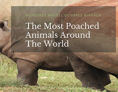 The Most Poached Animals Around The World