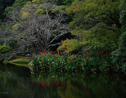 HAKENOMIYA PARK IN KUMAMOTO CITY, JAPAN