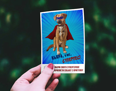 Dog adoption promo campaign