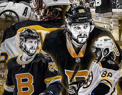 Boston Bruins, 2019 NHL Winter Classic on Behance