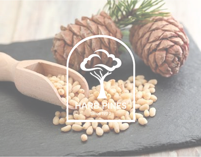Harb pines - logo design