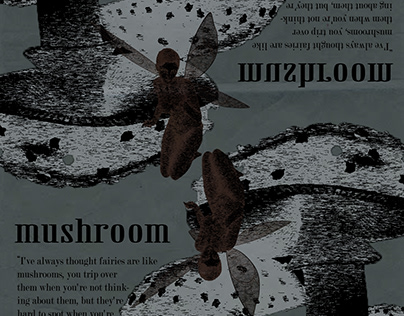 Mushrooms and Fairies