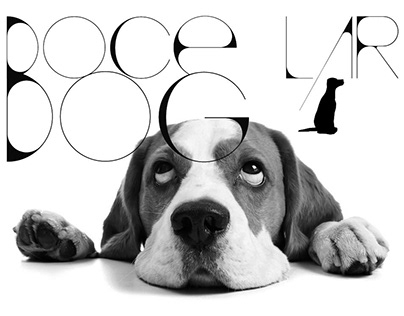Logo Doce Lar Dog