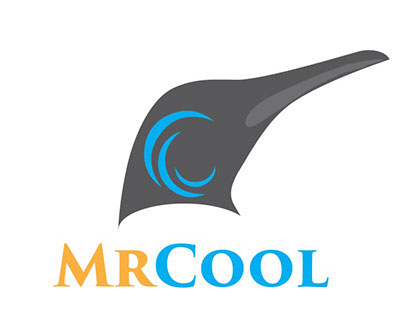 Mr. Cool Logo