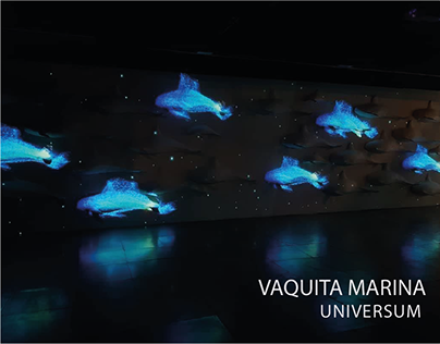 Vaquita Marina - Universum