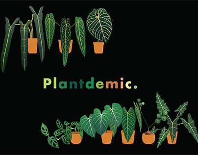 Plantdemic / Plant Pattern / Aroids