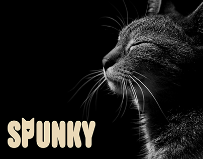 Spunky - Logo