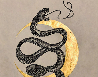 Serpent Hand Illustration