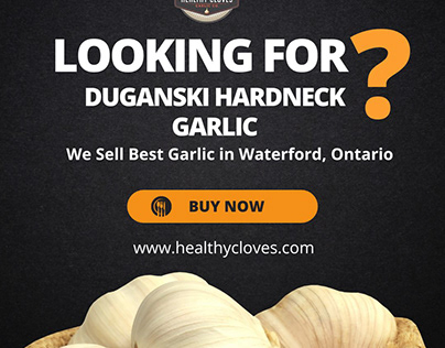 Shop Finest Duganski Hardneck Garlic