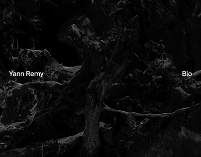 Yann Remy — Bio