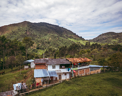 Finca cafetera, Municipio de Tarso Antioquia