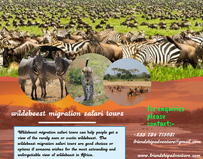 Wildebeest Migration Safari Tours