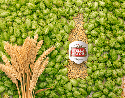 Stella Beer - Fiel à natureza.