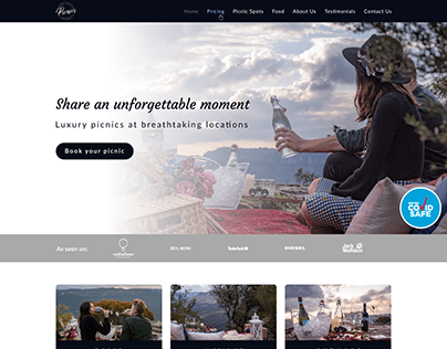 Homepage design for picnic organizer service