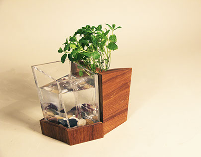 Microgreen- the micro ecosystem indoor