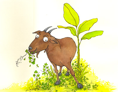 'Silly Gantu's Billy Goat' for UNICEF