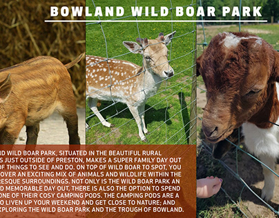 Arif Patel Preston Bowland Wild Boar Park