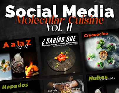 Social Media Molecular Cuisine Vol. II