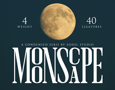 Moonscape - Movie & Entertainment Display