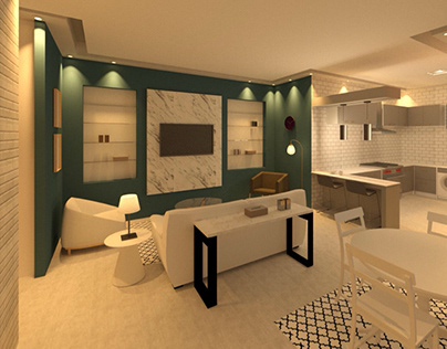 Small Basement apartment interior design